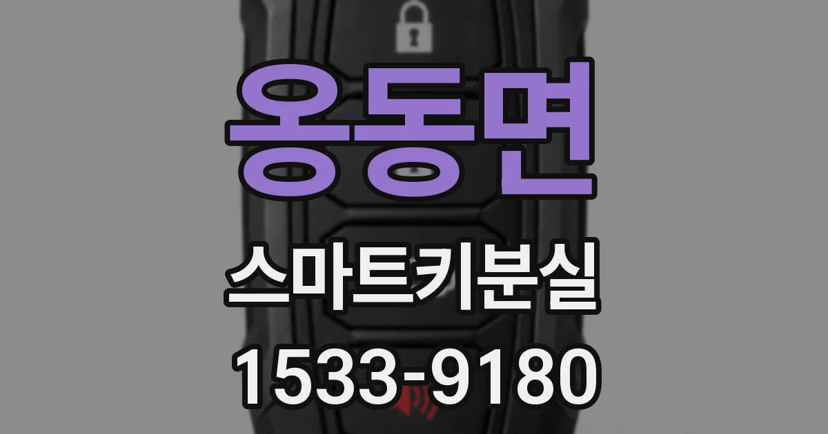 옹동면 스마트키분실