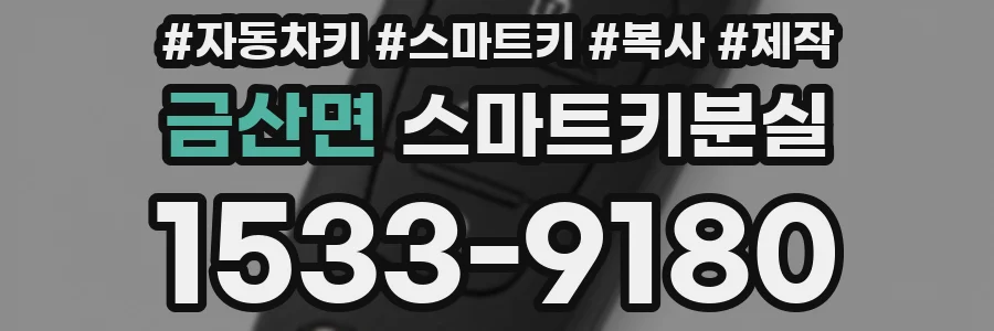 금산면 스마트키분실