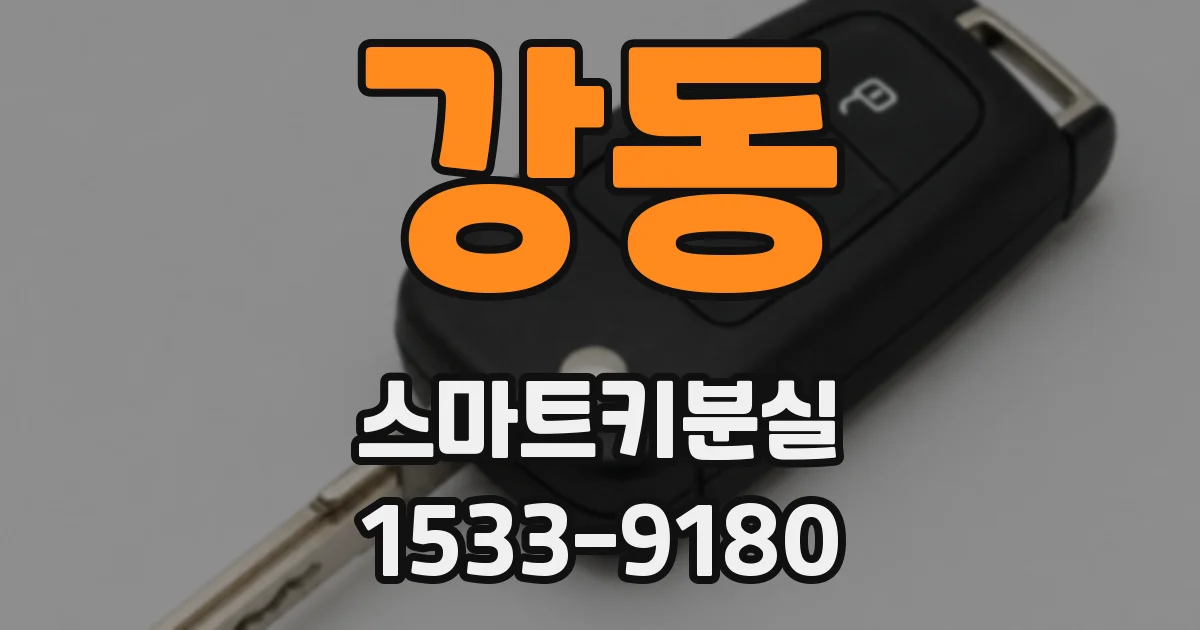 강동 스마트키분실