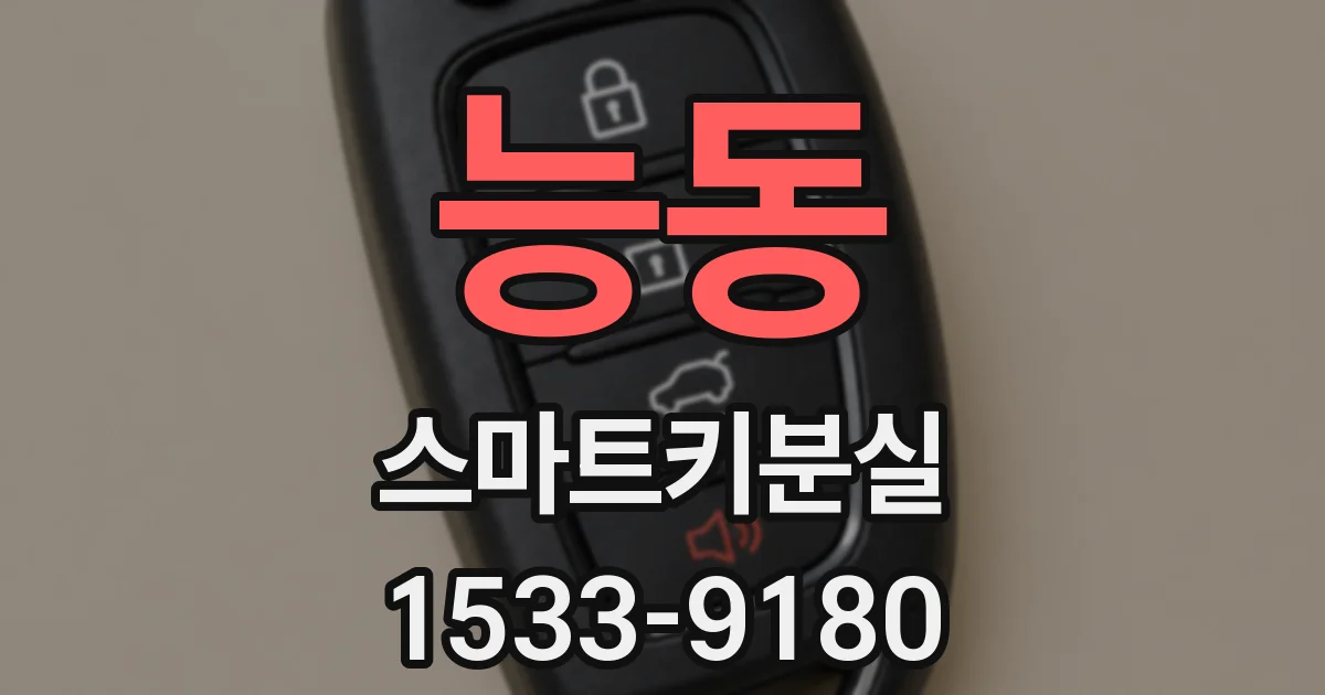 능동 스마트키분실