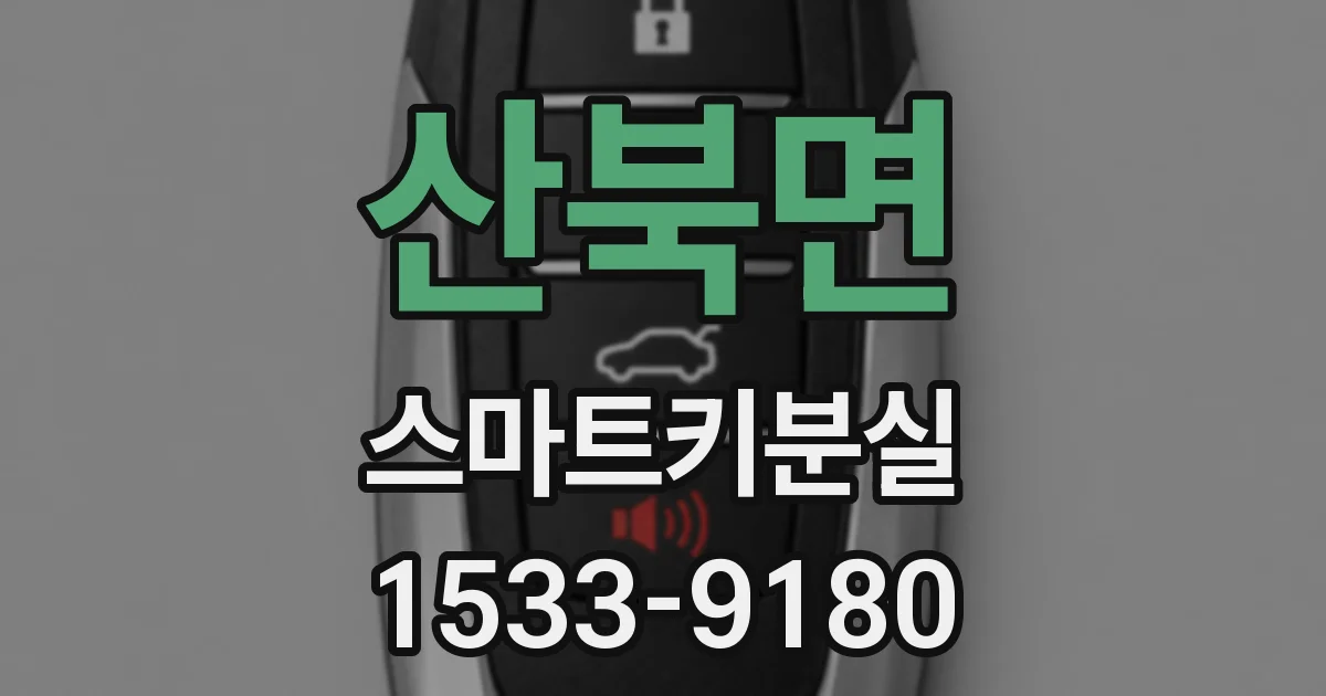 산북면 스마트키분실