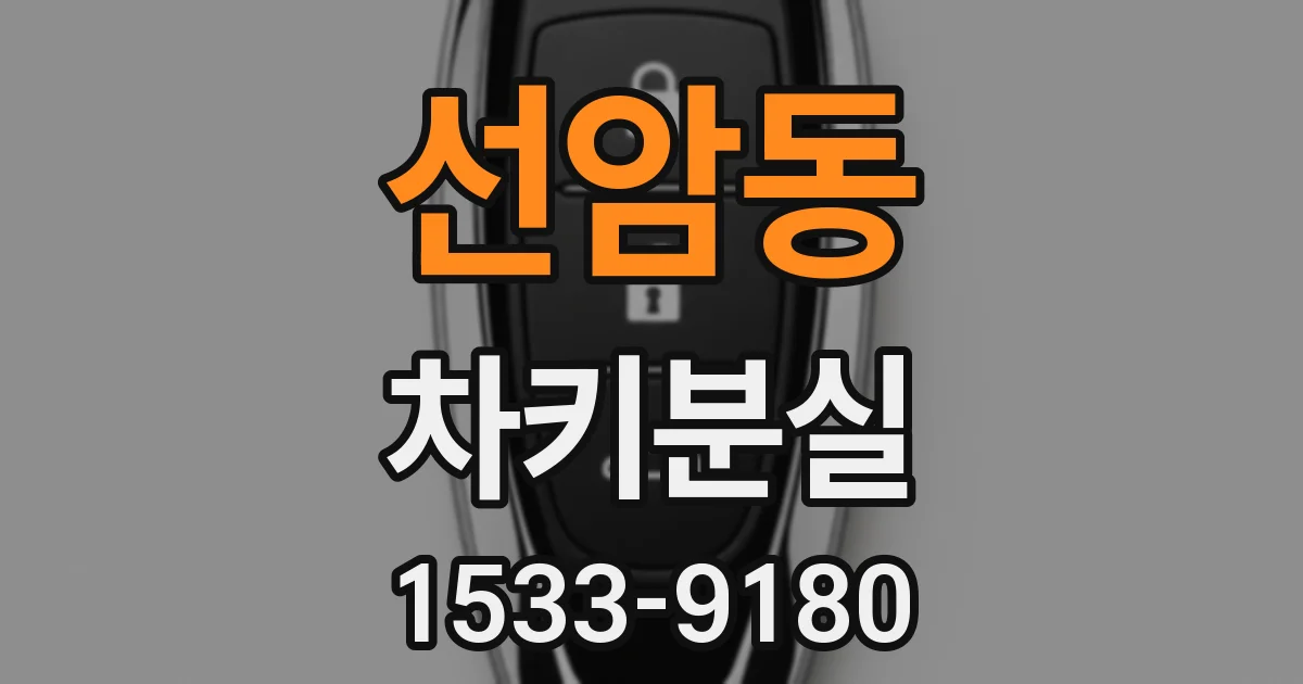 선암동 차키분실