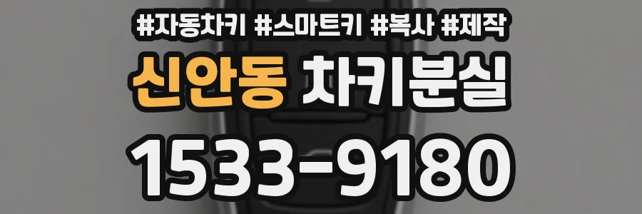 신안동 차키분실