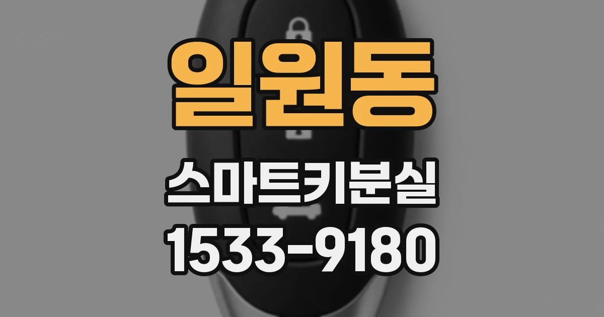 일원동 스마트키분실