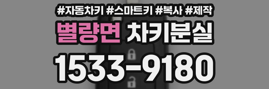 별량면 차키분실