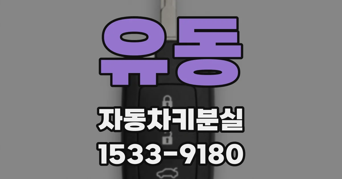 유동 자동차키분실