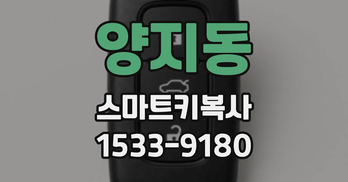 양지동 스마트키복사