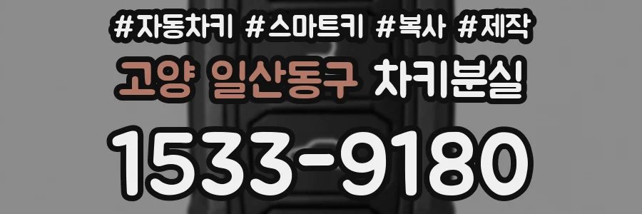 고양 일산동구 차키분실