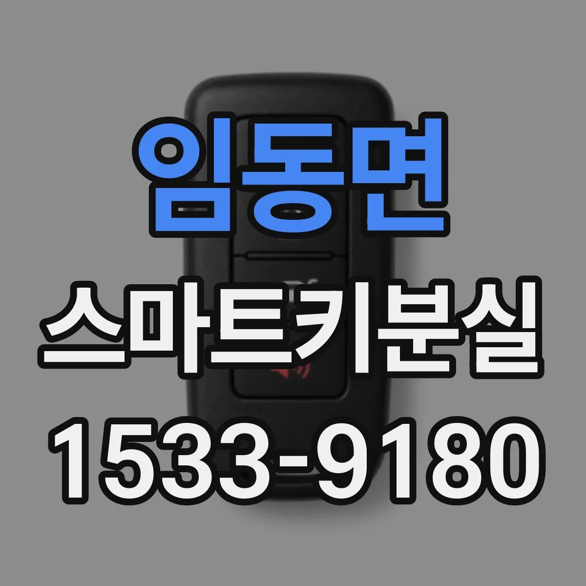 임동면 스마트키분실