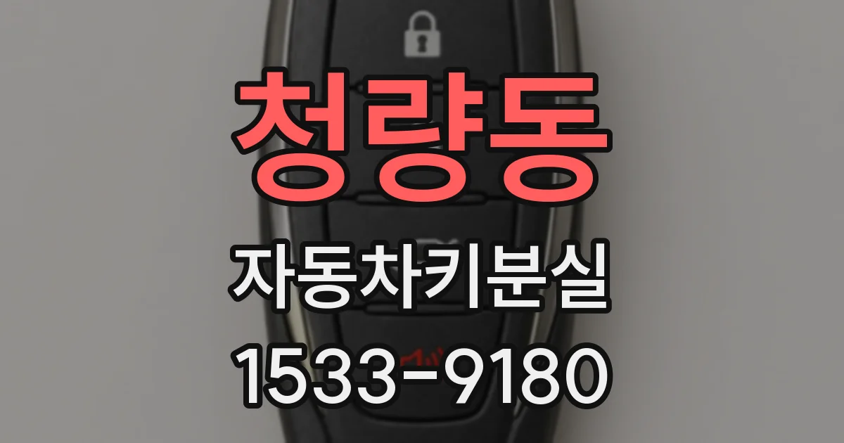 청량동 자동차키분실