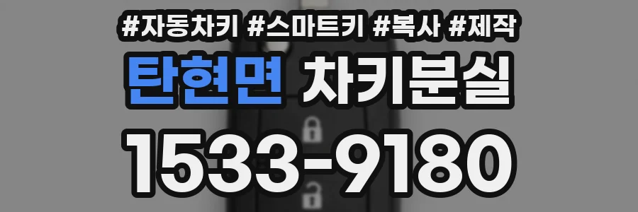 탄현면 차키분실