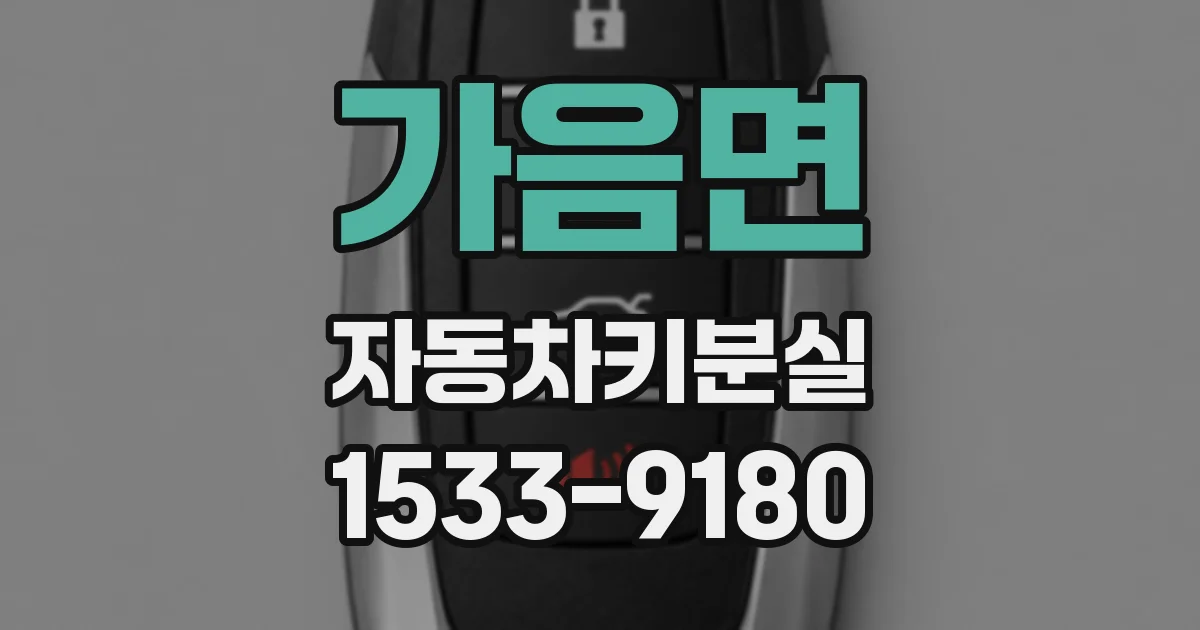가음면 자동차키분실