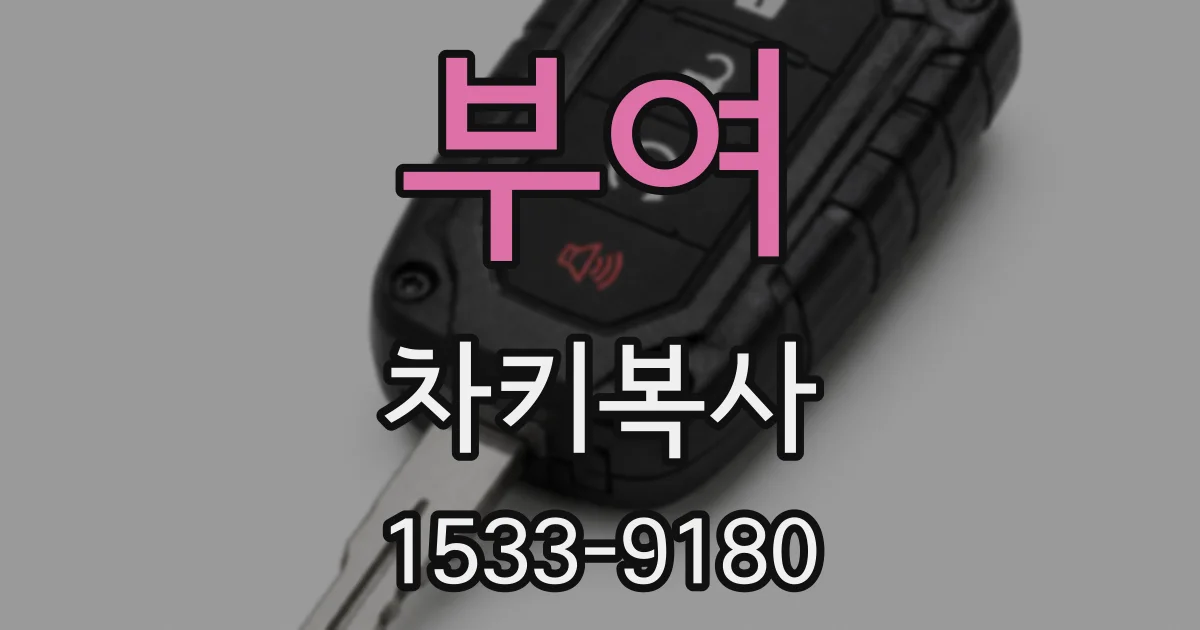부여 차키복사