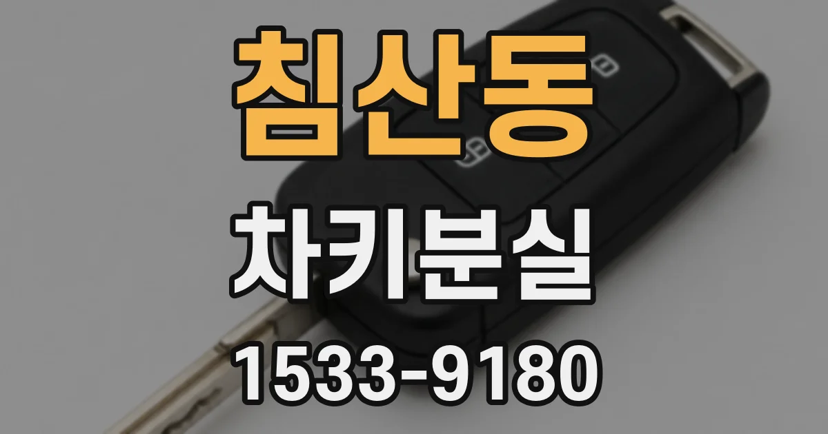 침산동 차키분실