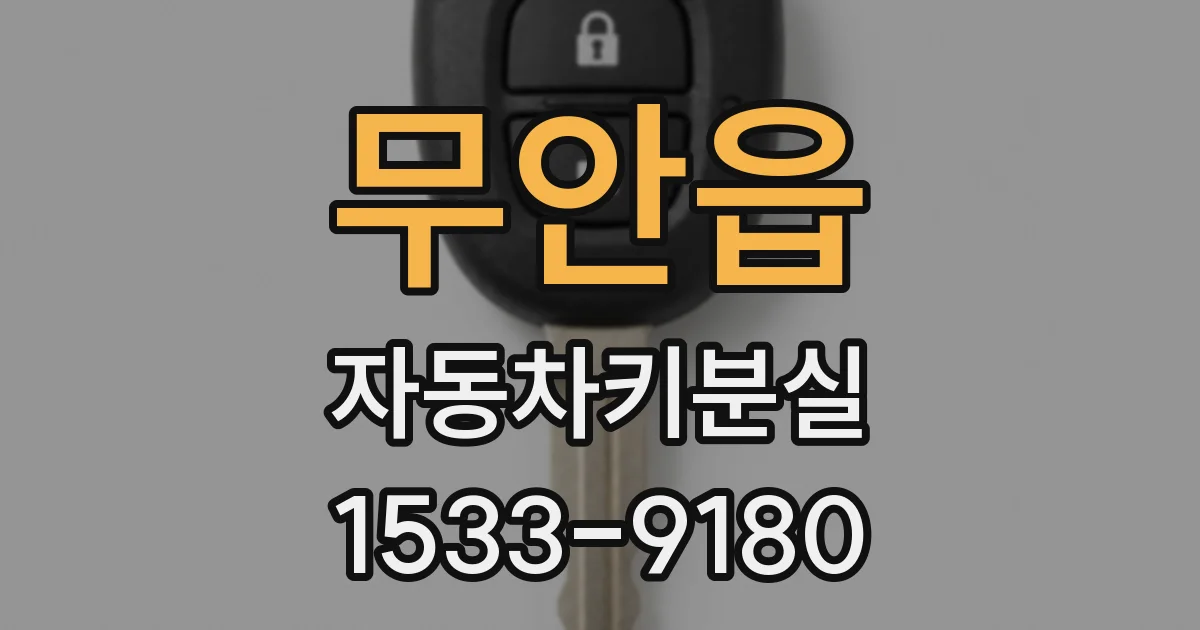 무안읍 자동차키분실