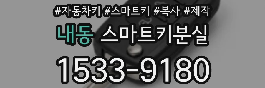 내동 스마트키분실