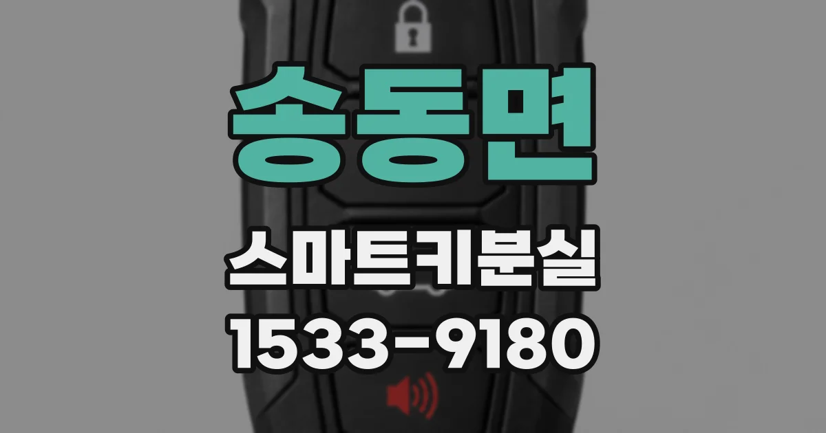 송동면 스마트키분실
