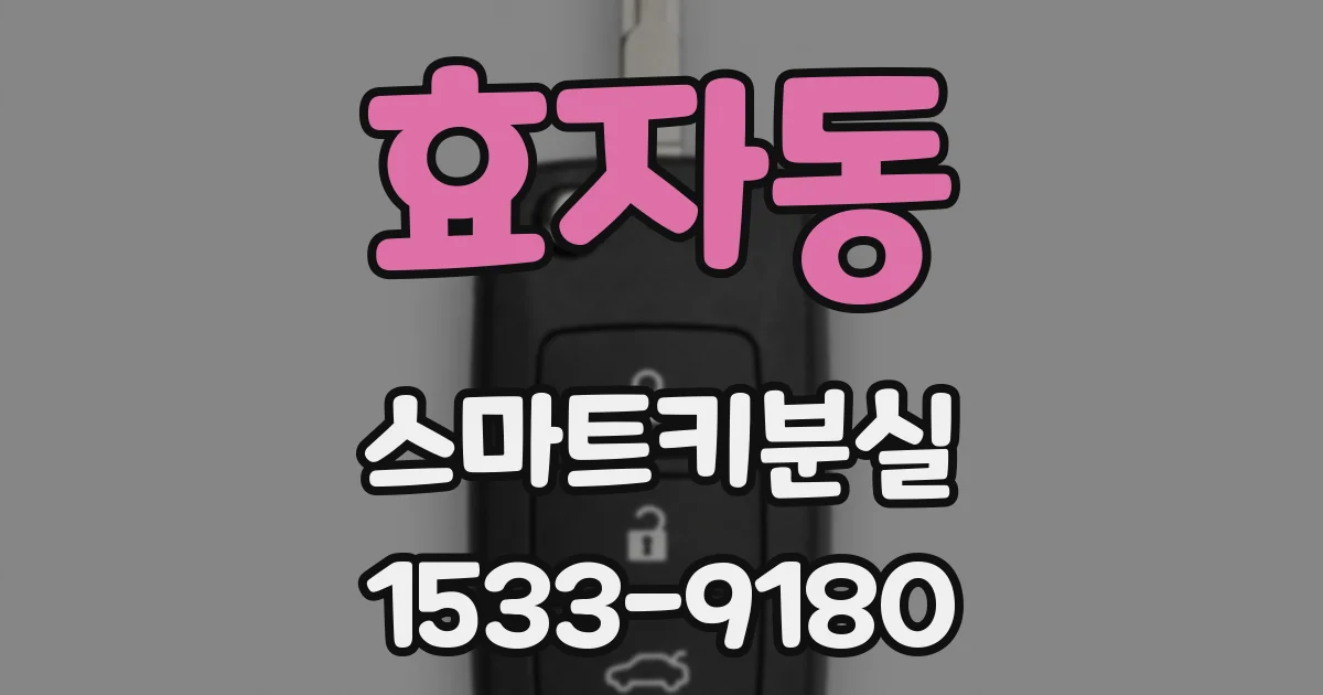 효자동 스마트키분실