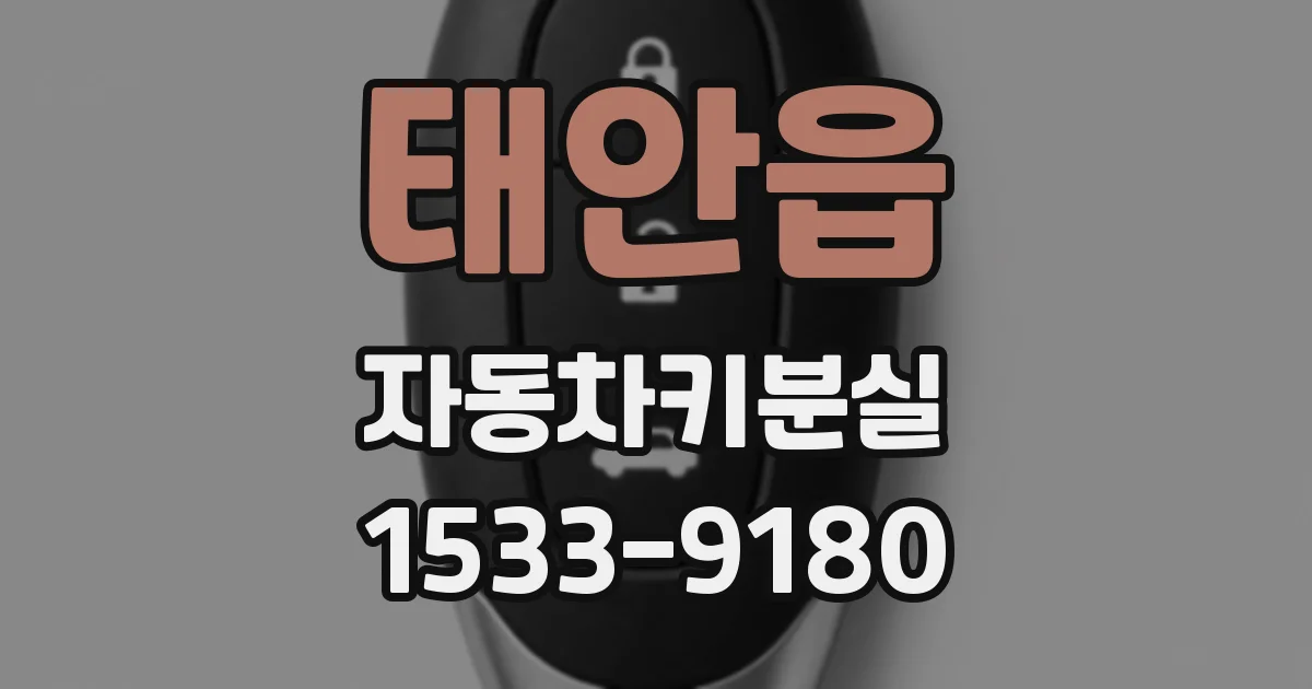 태안읍 자동차키분실