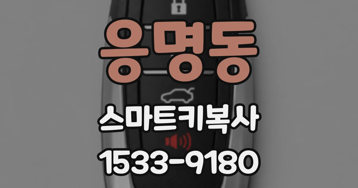 응명동 스마트키복사