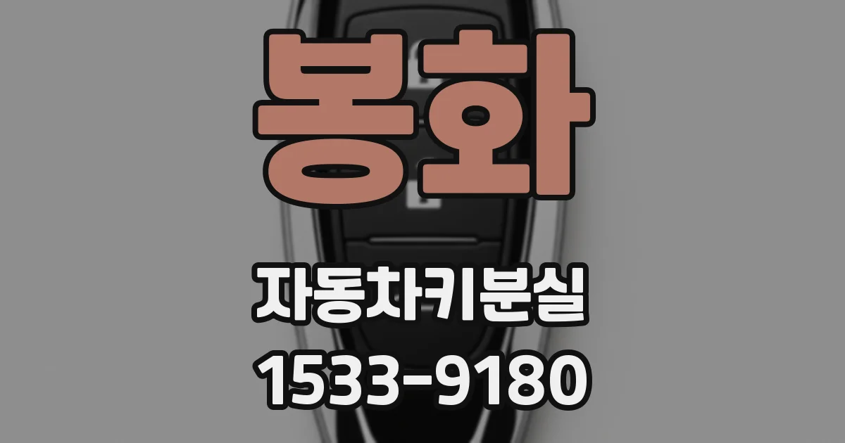 봉화 자동차키분실