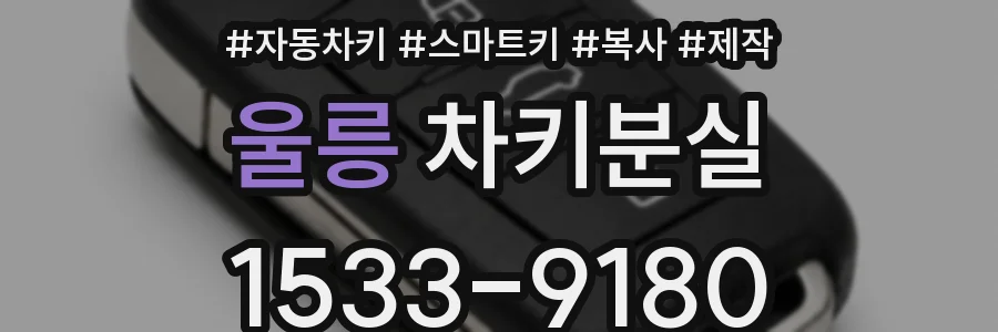 울릉 차키분실