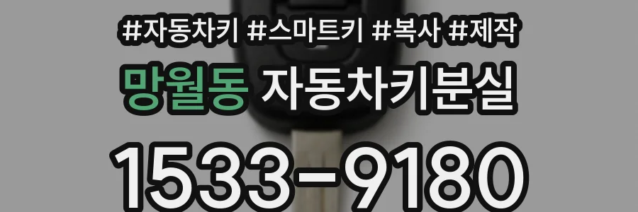 망월동 자동차키분실