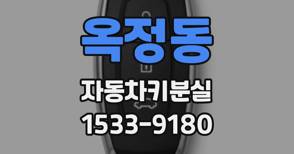 옥정동 자동차키분실