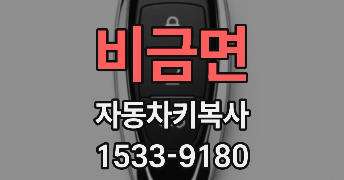비금면 자동차키복사