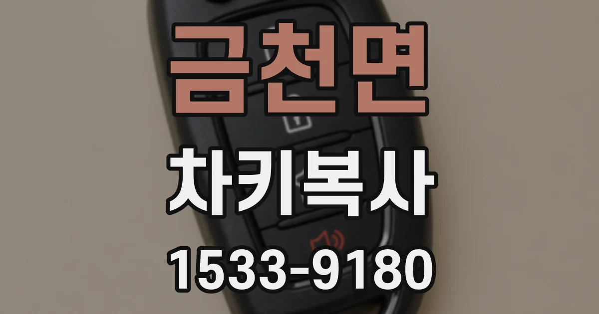 금천면 차키복사