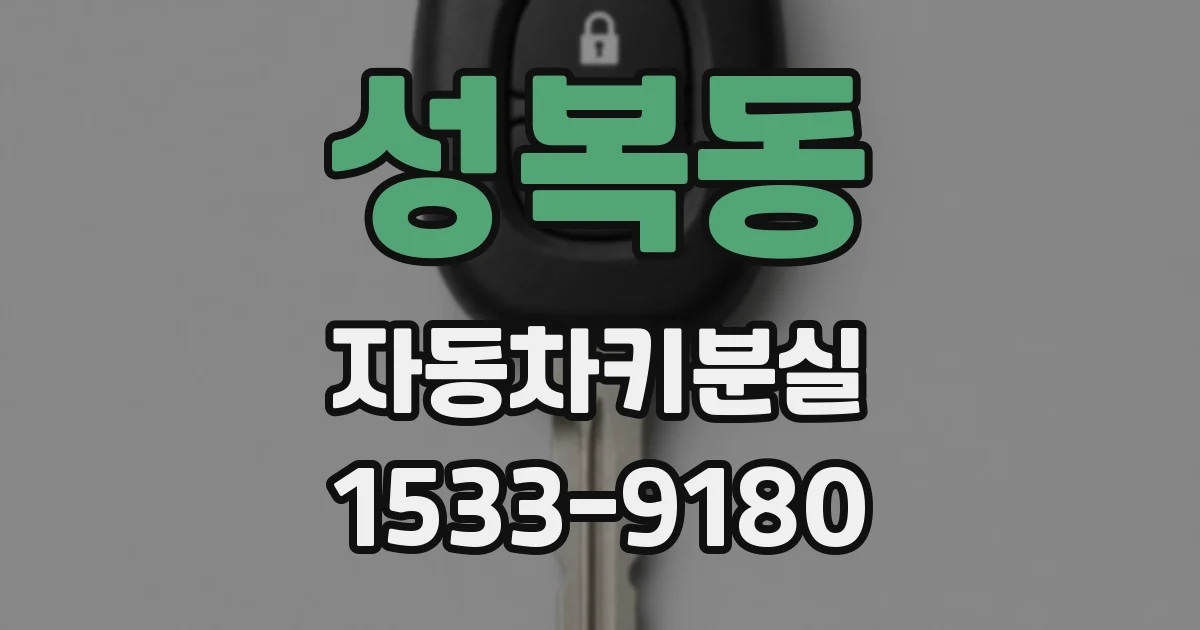 성복동 자동차키분실