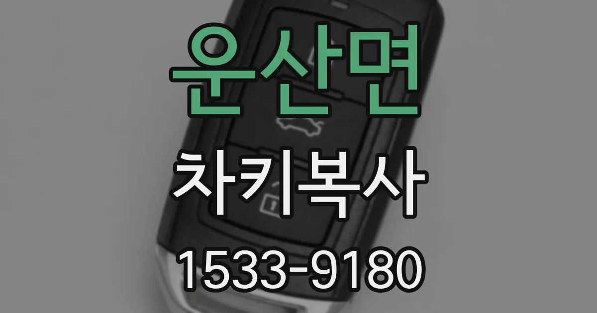 운산면 차키복사