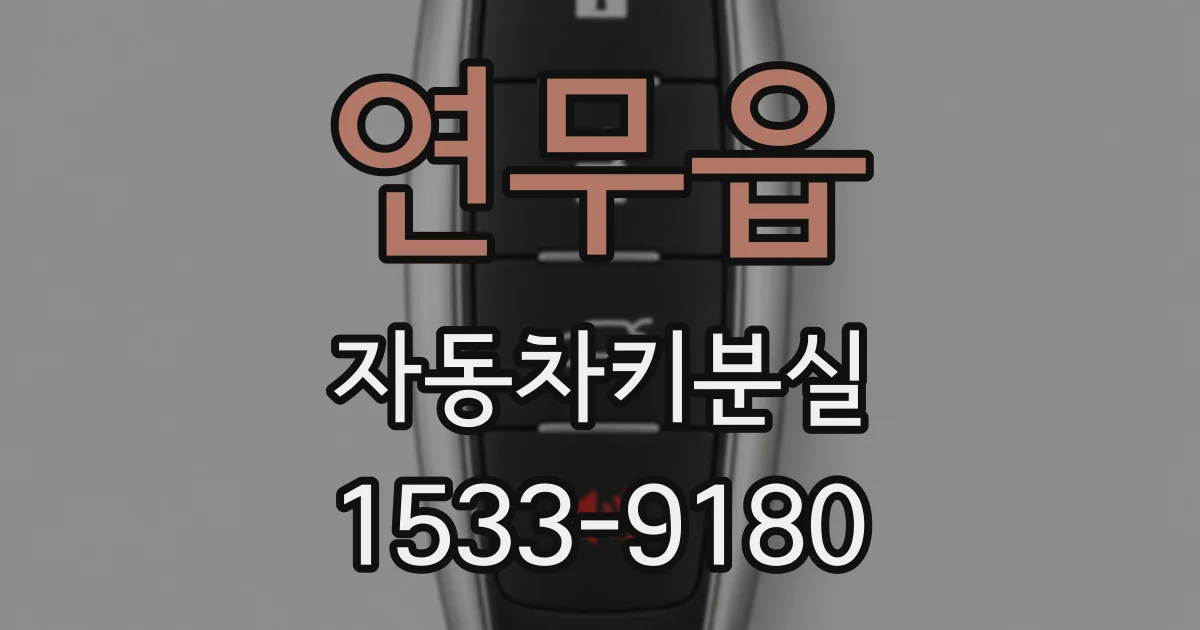 연무읍 자동차키분실