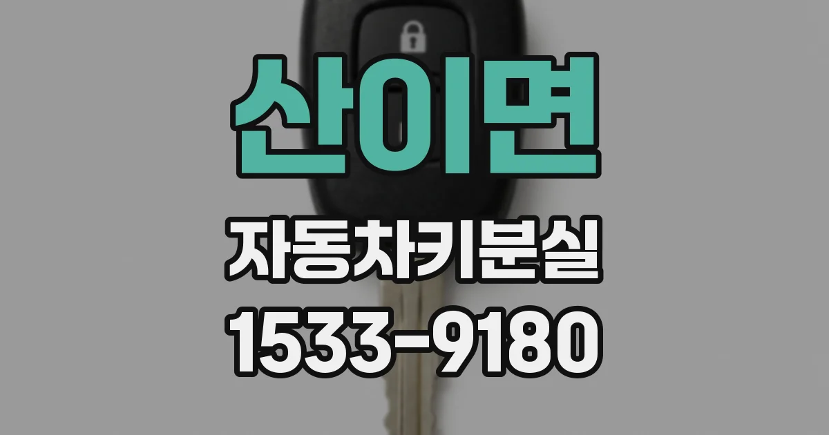 산이면 자동차키분실