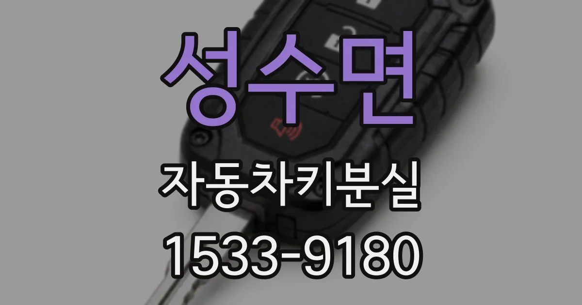 성수면 자동차키분실