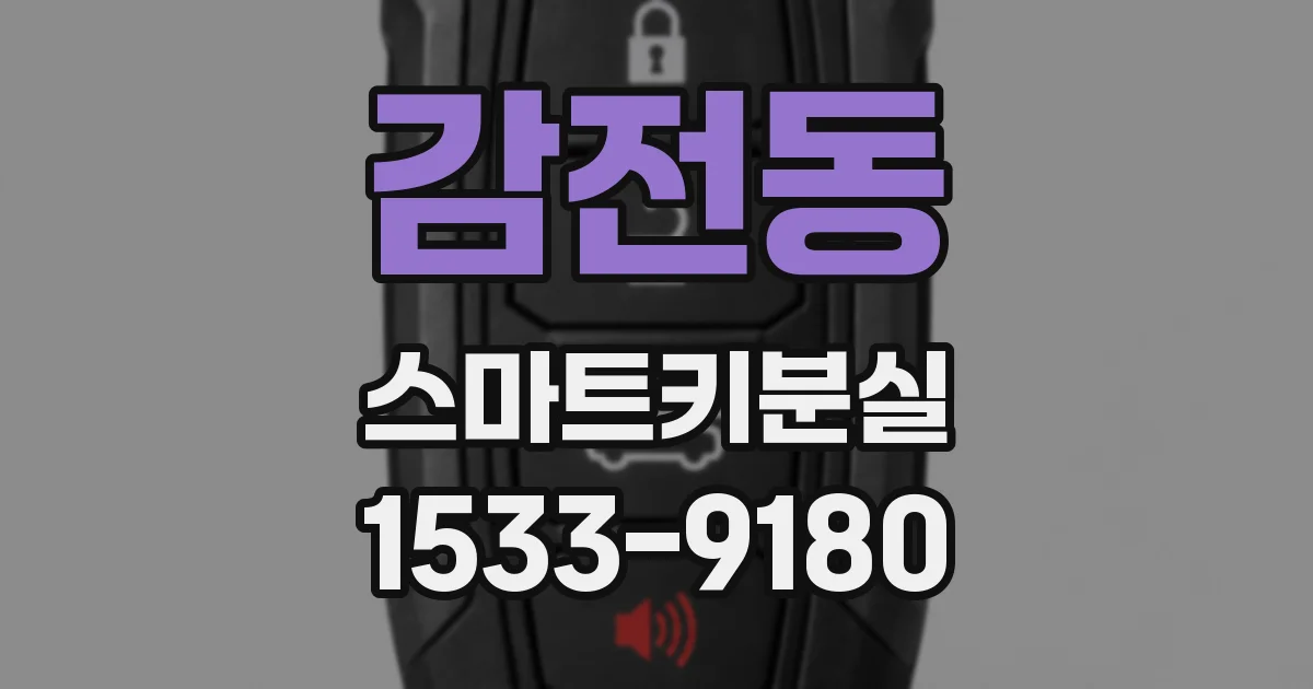 감전동 스마트키분실