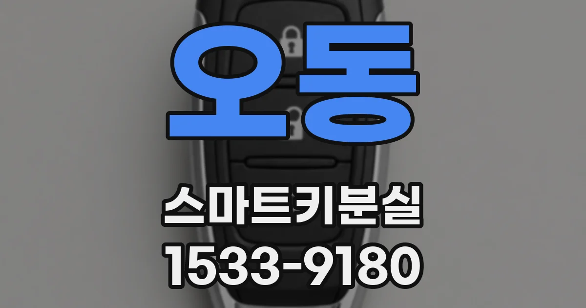 오동 스마트키분실