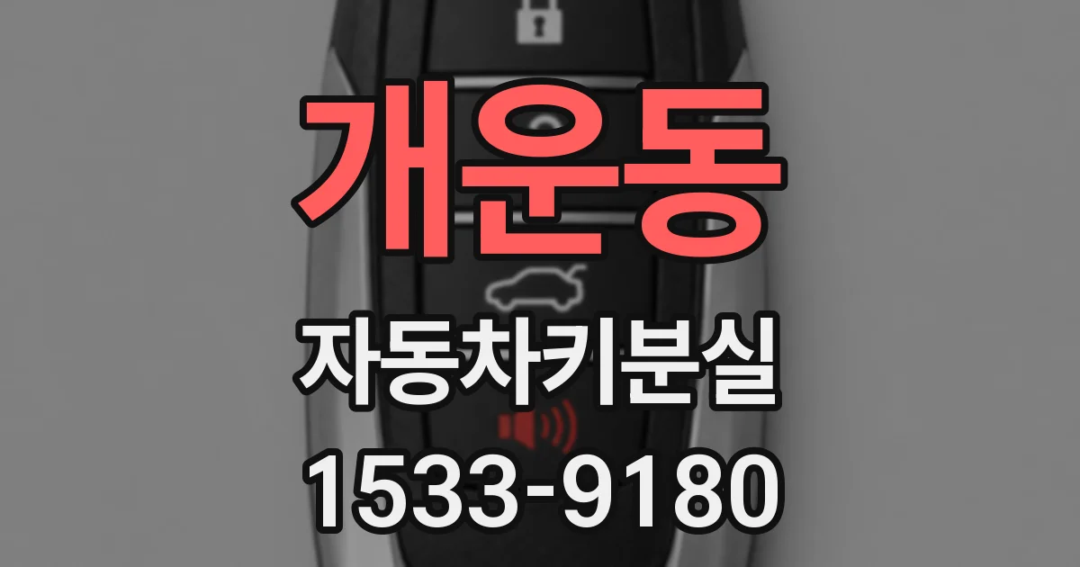개운동 자동차키분실