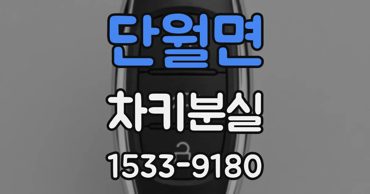단월면 차키분실