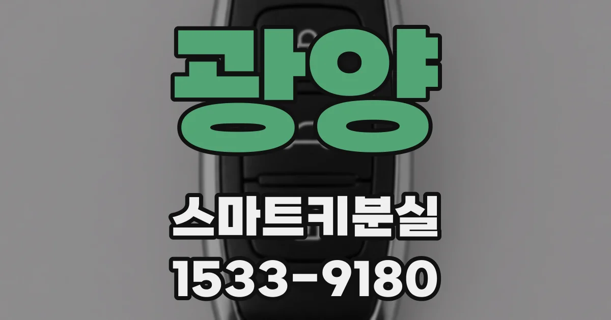 광양 스마트키분실