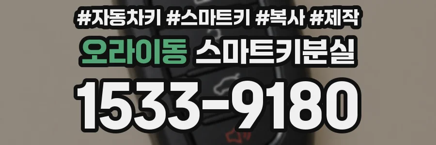 오라이동 스마트키분실