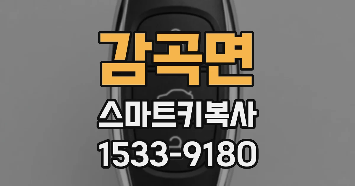 감곡면 스마트키복사