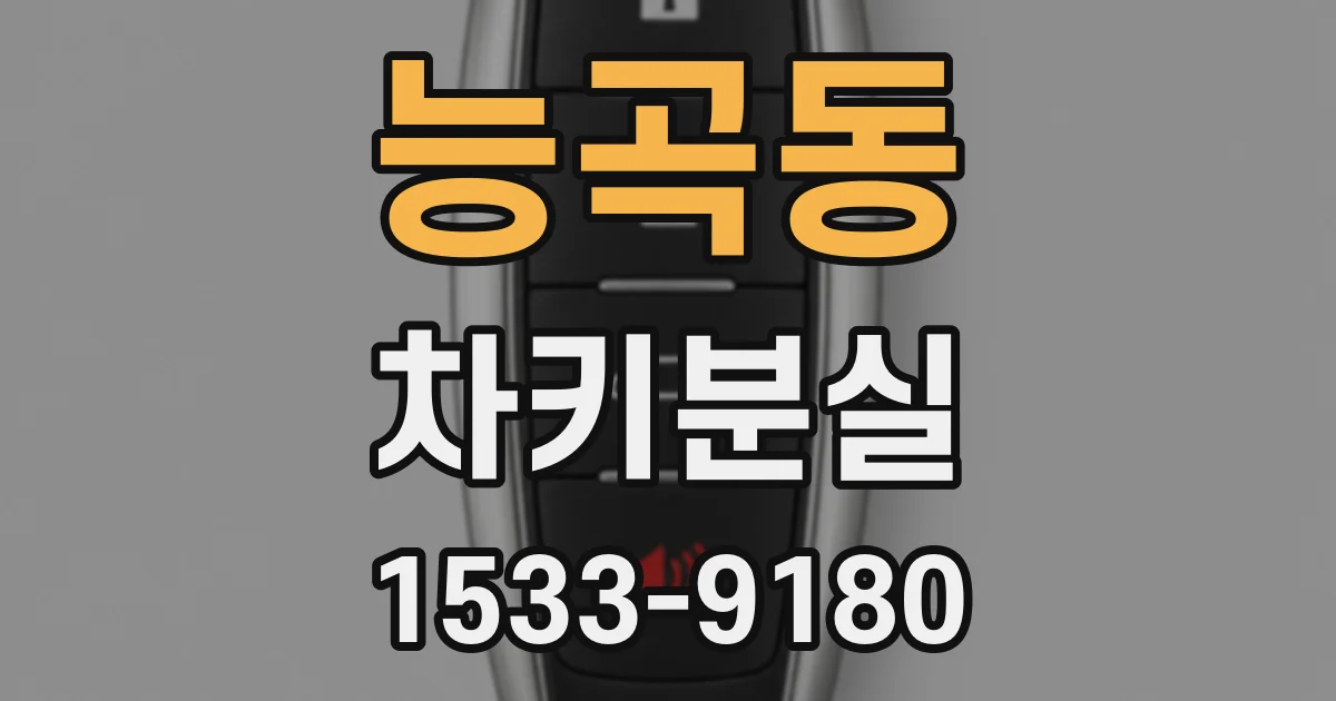 능곡동 차키분실