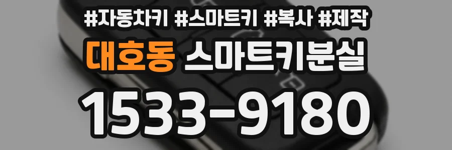대호동 스마트키분실