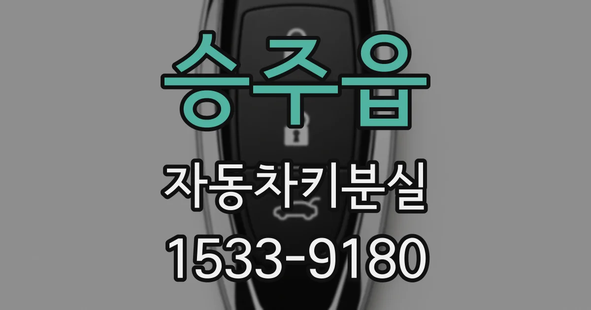승주읍 자동차키분실