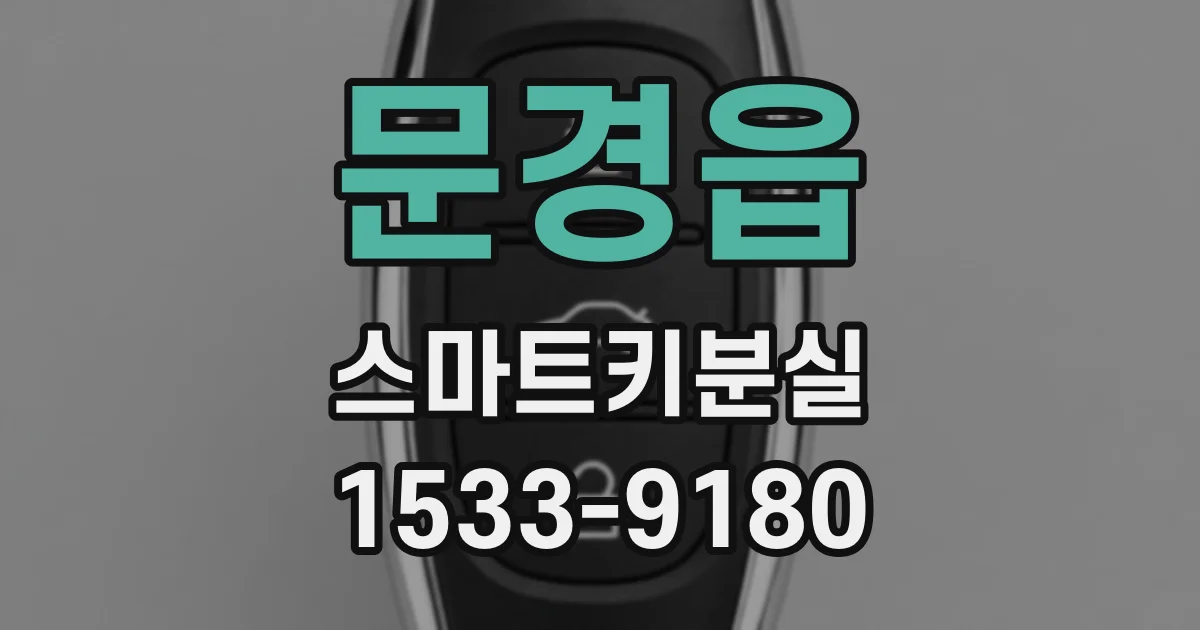 문경읍 스마트키분실