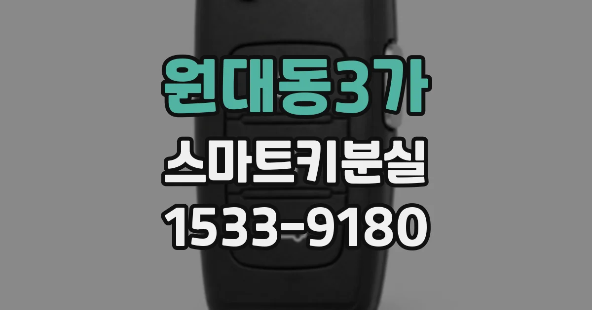 원대동3가 스마트키분실