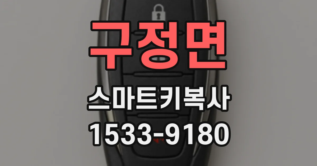 구정면 스마트키복사