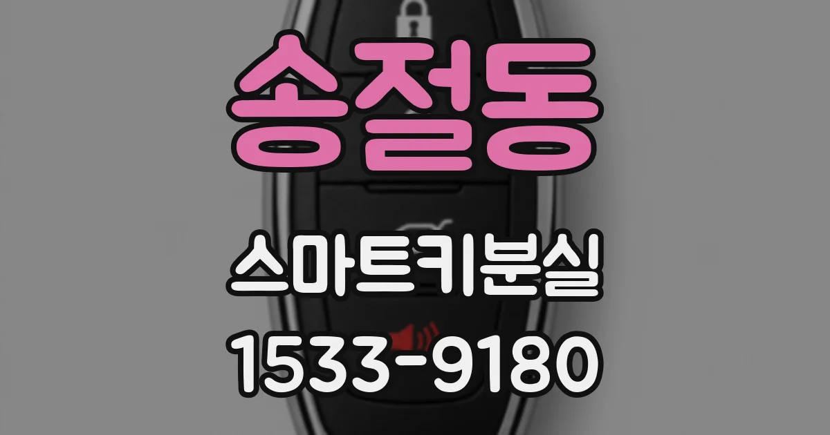 송절동 스마트키분실