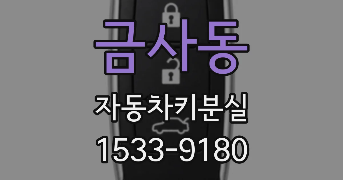 금사동 자동차키분실